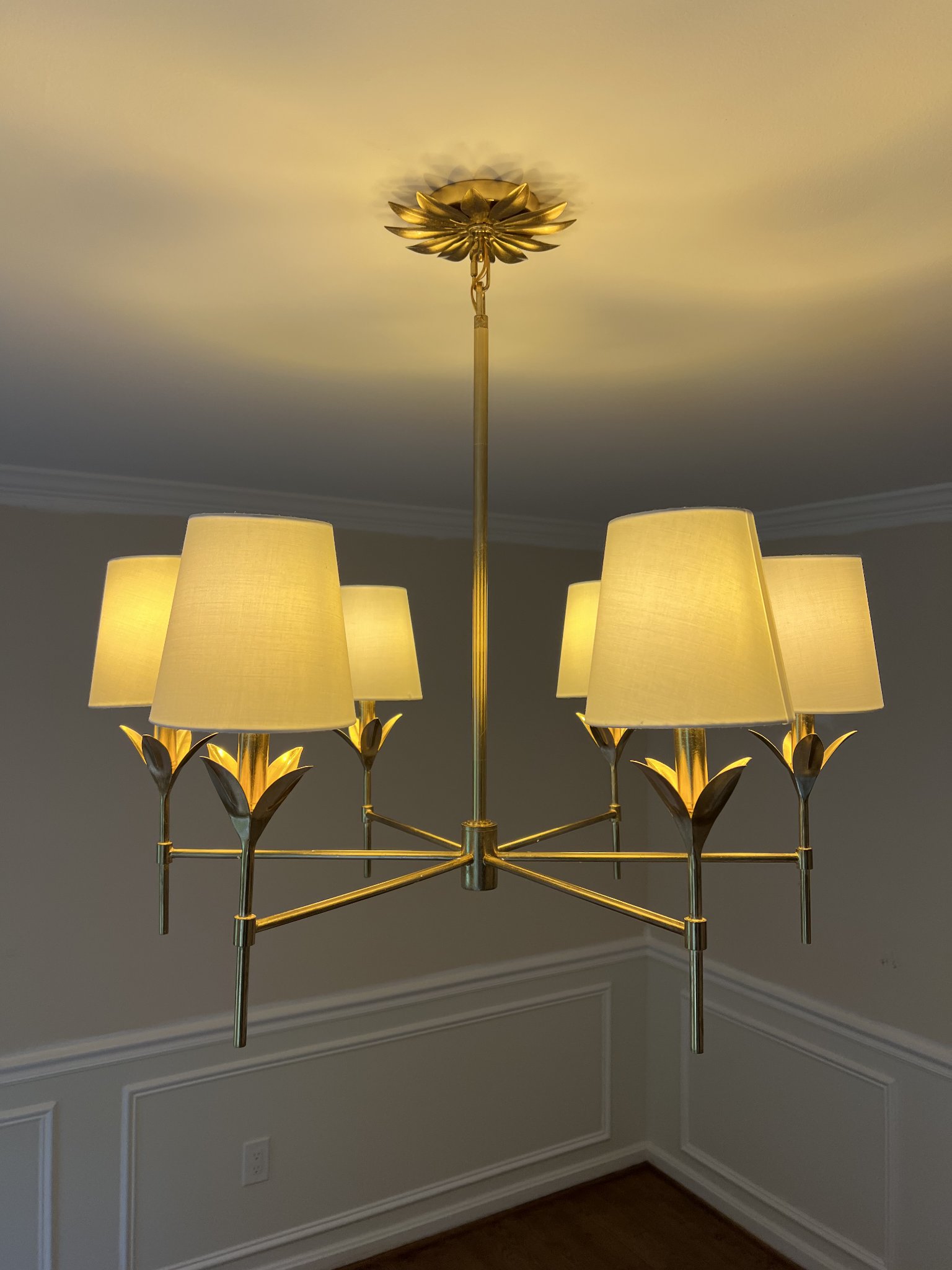 Dining room with brass chandelier and wainscoting